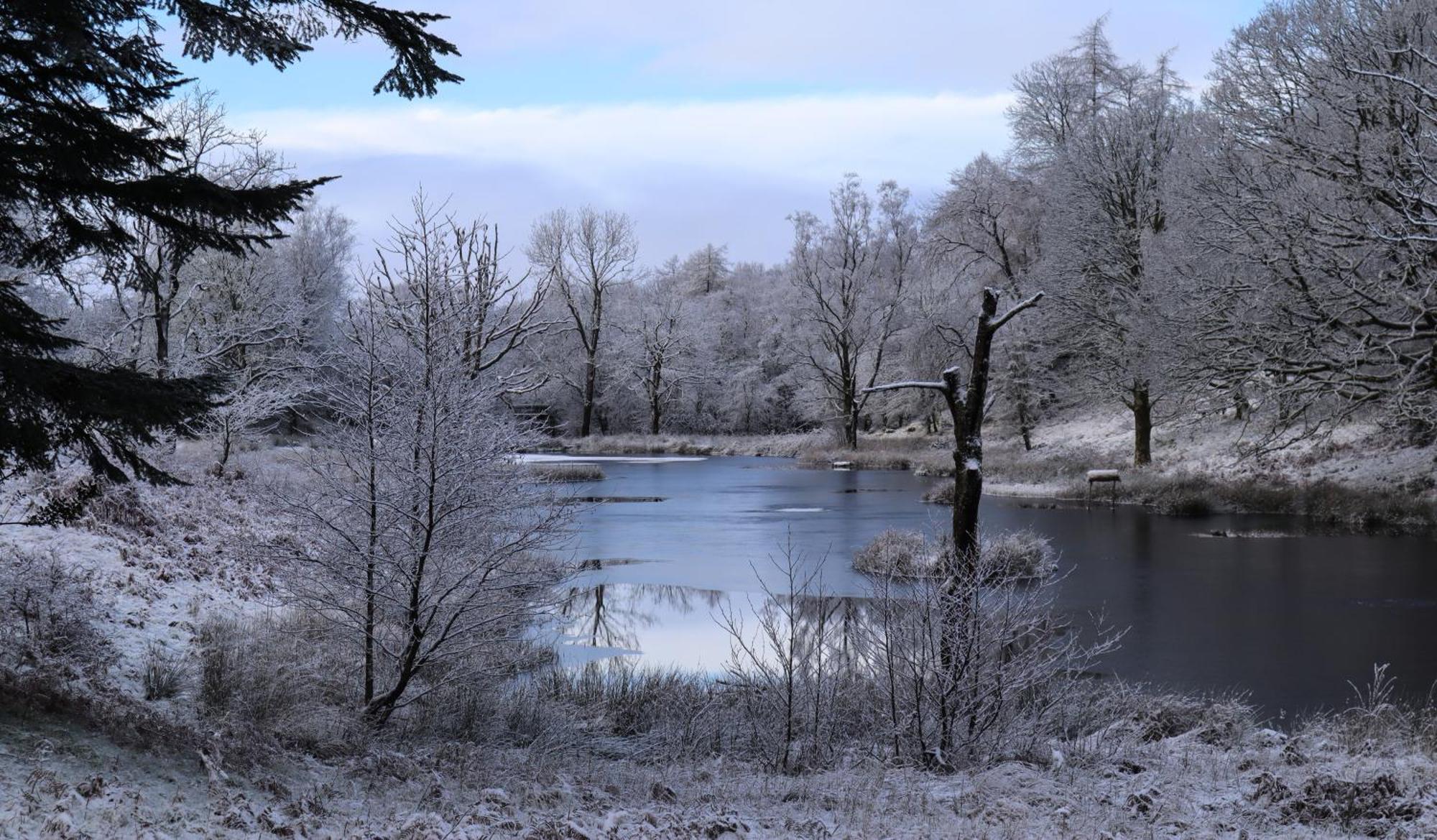 Wild Boar Estate Hotel Bowness-on-Windermere Bagian luar foto