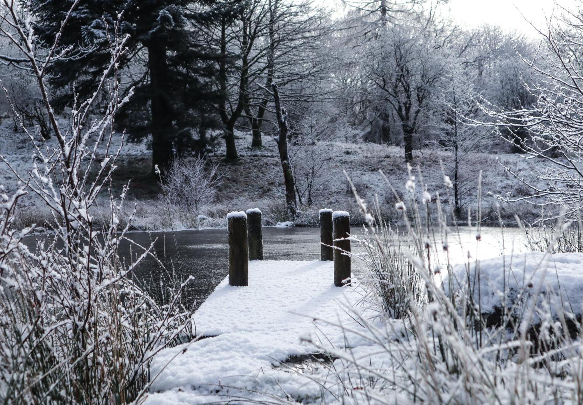 Wild Boar Estate Hotel Bowness-on-Windermere Bagian luar foto